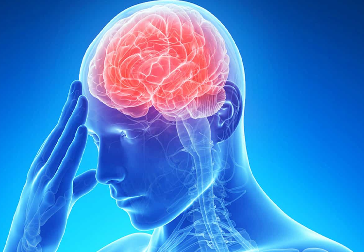 يمكن أن يؤدي الضغط الشديد على الدماغ (من الإفراط في التنبيه) إلى انخفاض عدد الخلايا العصبية في الدماغ