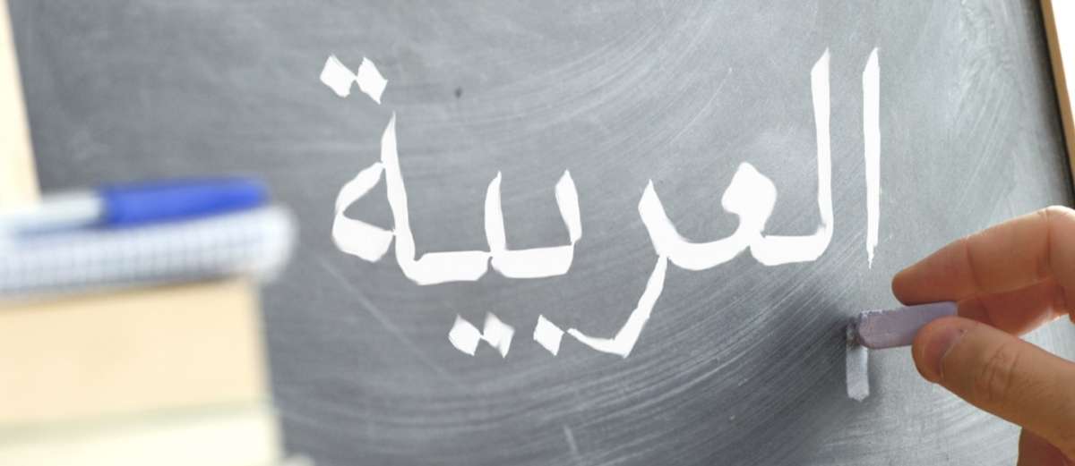 إنّ فرضية أنّ اللغة العربية مستهدفة في إطار غزو ثقافي في حاجة إلى إعادة نظر
